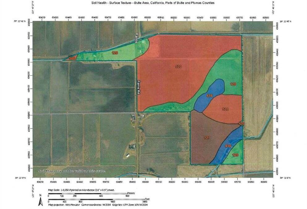 166+/- acres of Rice Land in Gridley